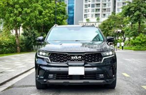 Xe Kia Sorento Signature 2.2 AT AWD 2022