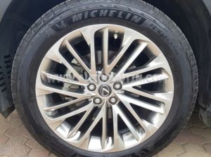 Xe Lexus RX 350 2022